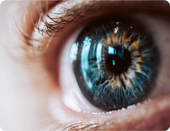 One Passion Infinite Trading